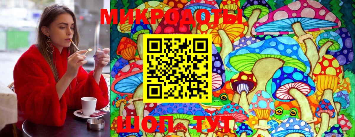 как найти   Вход с VPN  Псилоцибиновые грибы Magic Shrooms  Междуреченск  Галлюциногенные грибы мухоморы 